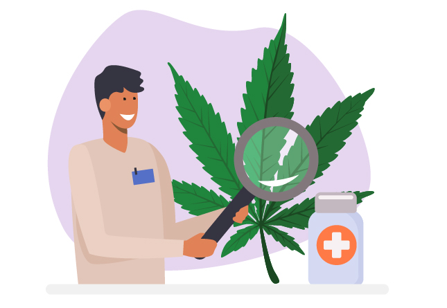 cannabinoïdes et usages médicinaux